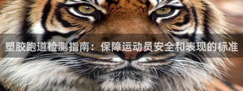 红足一1世手机版赛果：塑胶跑道检测指南：保障运动员安全和表现的标准