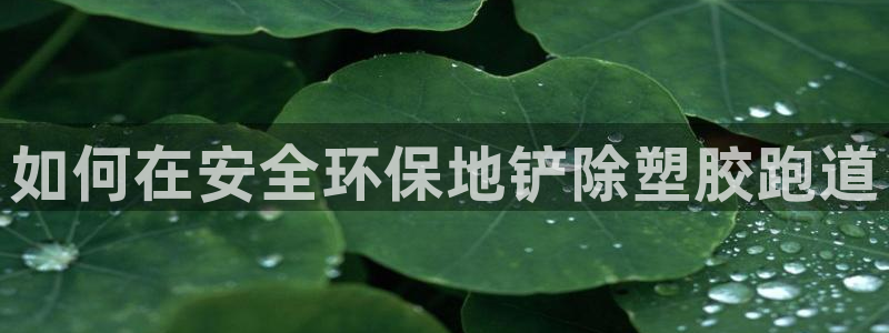 红足一1世手机开奖：如何在安全环保地铲除塑胶跑道