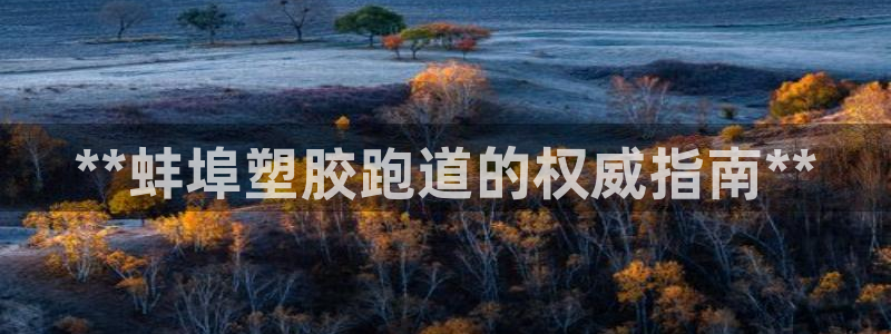 4633333开奖结果4176一点红：**蚌埠塑胶跑道的权威指南**