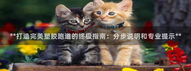 红足一球：**打造完美塑胶跑道的终极指南：分步说明和专业提示**
