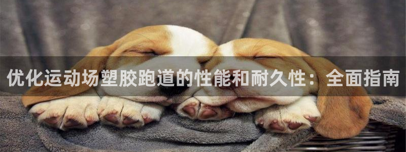 百度红足一1是什么样子的