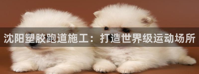 777814红·足一世比分：沈阳塑胶跑道施工：打造世界级运动场所