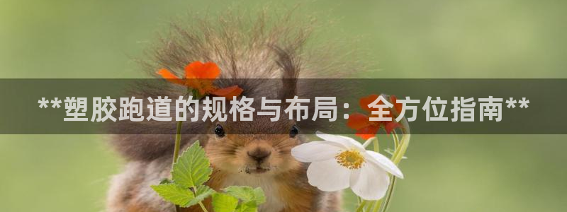 红足一1世比分：**塑胶跑道的规格与布局：全方位指南**