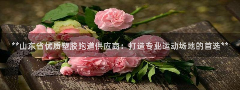 红足一1世：**山东省优质塑胶跑道供应商：打造专业运动场地的首选**