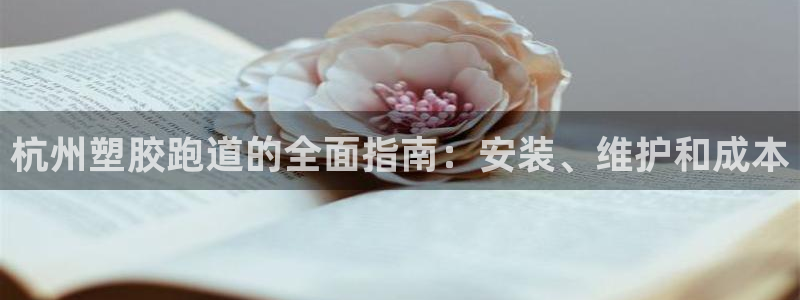 55814红足1世：杭州塑胶跑道的全面指南：安装、维护和成本