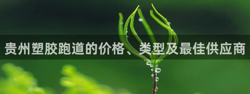 红足一1世即时比分：贵州塑胶跑道的价格、类型及最佳供应商