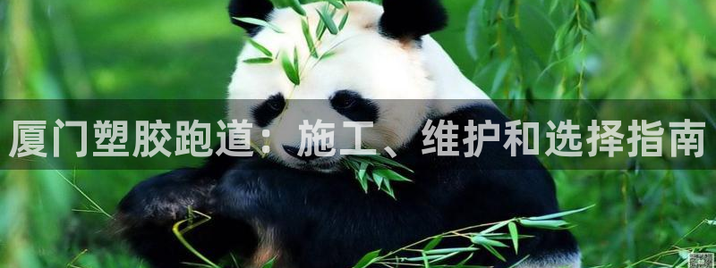 百度红足一1世：厦门塑胶跑道：施工、维护和选择指南