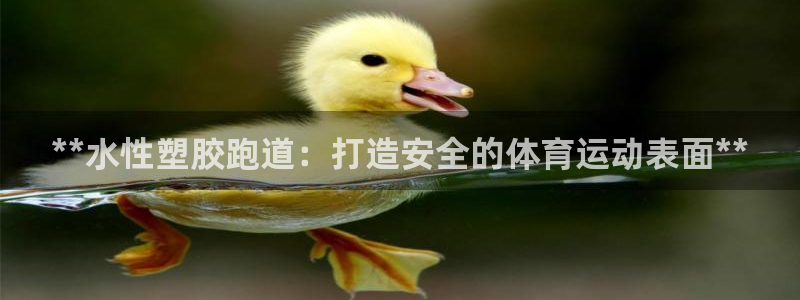 红足一1世比分网：**水性塑胶跑道：打造安全的体育运动表面**