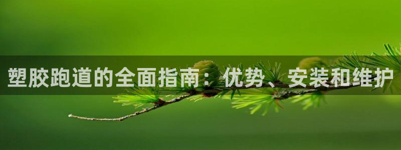777814红·足一世：塑胶跑道的全面指南：优势、安装和维护