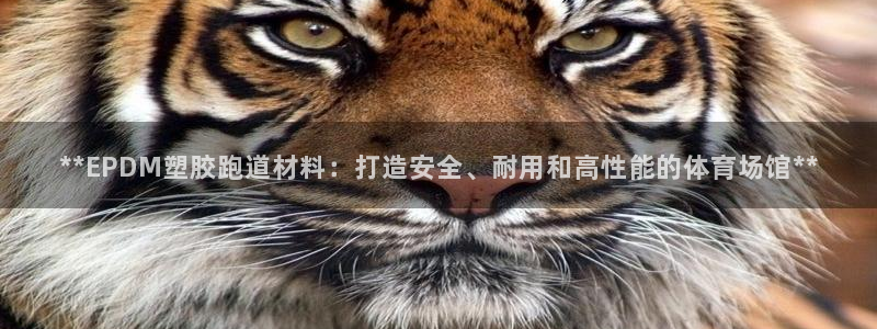 红足1世足球网址：**EPDM塑胶跑道材料：打造安全、耐用和高性能的体育场馆**