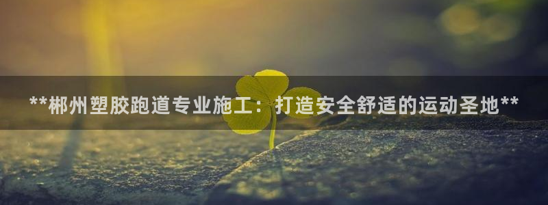 百度红足一1是干什么的：**郴州塑胶跑道专业施工：打造安全舒适的运动圣地**
