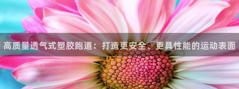 红足一生世：高质量透气式塑胶跑道：打造更安全、更具性能的运动表面