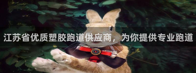 红世一足球比分：江苏省优质塑胶跑道供应商，为你提供专业跑道