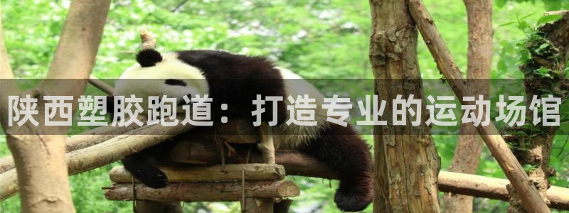 红足一1世官网：陕西塑胶跑道：打造专业的运动场馆
