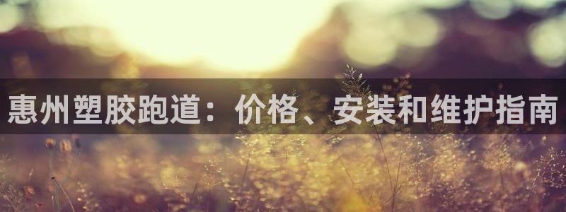 红足网足球直播：惠州塑胶跑道：价格、安装和维护指南