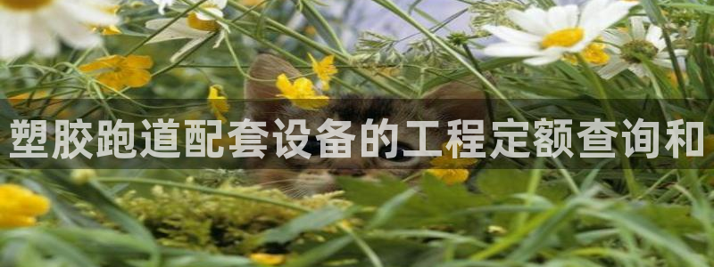 红足一1世官网比分：塑胶跑道配套设备的工程定额查询和