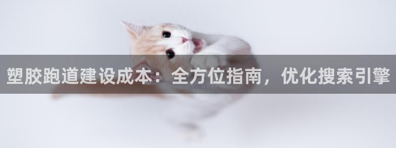 红足1世足球网址：塑胶跑道建设成本：全方位指南，优化搜索引擎