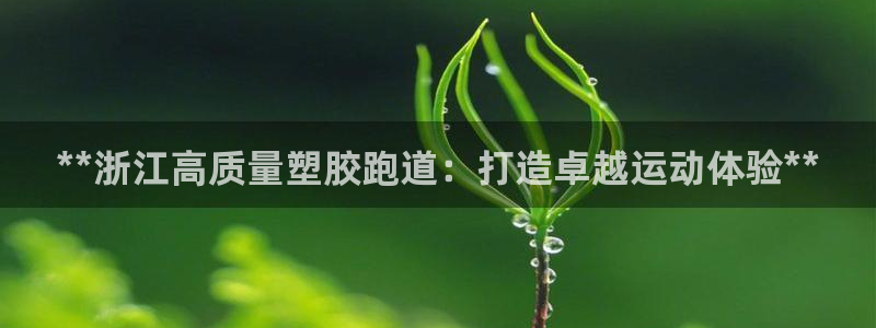 百度红足一1使用说明：**浙江高质量塑胶跑道：打造卓越运动体验**
