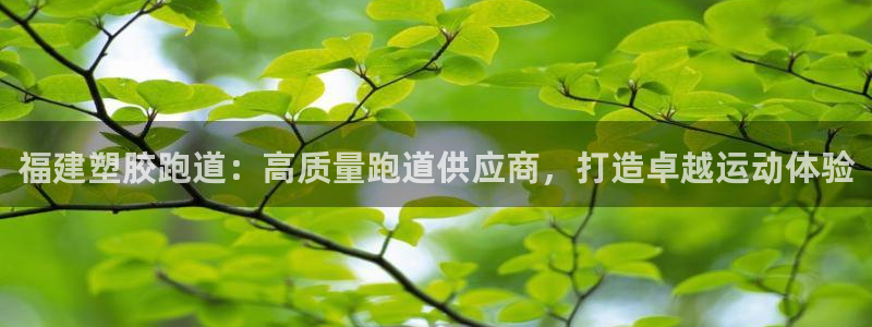 红足1世足球网址：福建塑胶跑道：高质量跑道供应商，打造卓越运动体验
