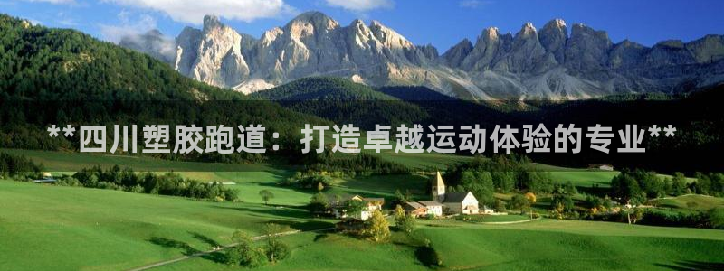 红足一1世比分球探：**四川塑胶跑道：打造卓越运动体验的专业**