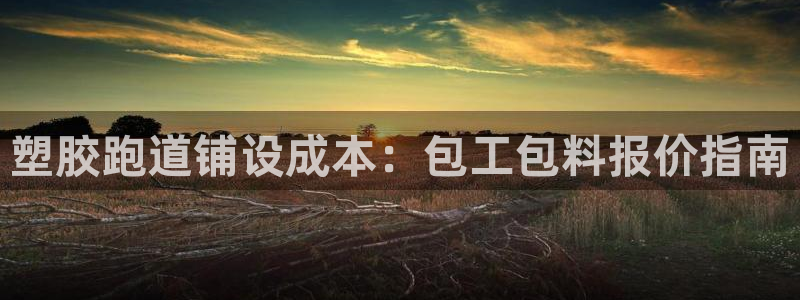 777814红·足一世：塑胶跑道铺设成本：包工包料报价指南
