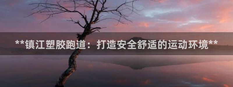 红足一1世官网足球推荐真人：**镇江塑胶跑道：打造安全舒适的运动环境**