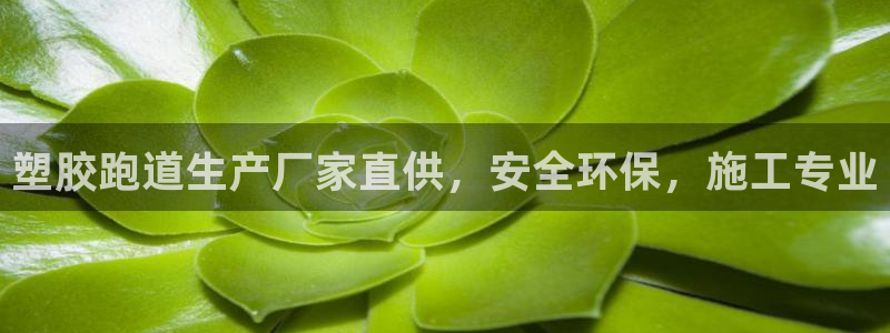 红足1一世 2站：塑胶跑道生产厂家直供，安全环保，施工专业