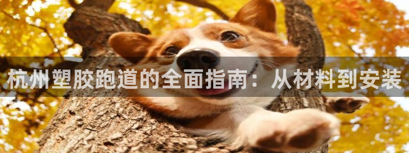 百度红足一1使用说明：杭州塑胶跑道的全面指南：从材料到安装