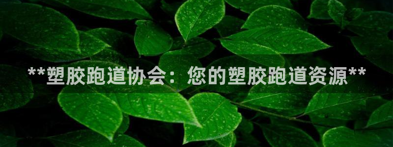 红足1一世：**塑胶跑道协会：您的塑胶跑道资源**