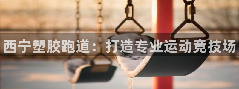 红足一1世66814新宝：西宁塑胶跑道：打造专业运动竞技场