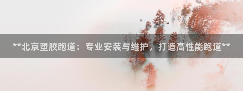 红足1世足球比分：**北京塑胶跑道：专业安装与维护，打造高性能跑道**