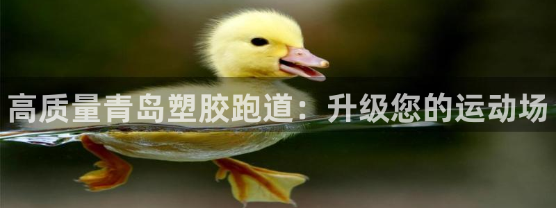 红足1世足球比分预测：高质量青岛塑胶跑道：升级您的运动场