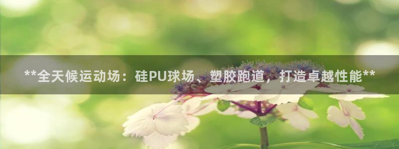 红足1世足球比分 localhost