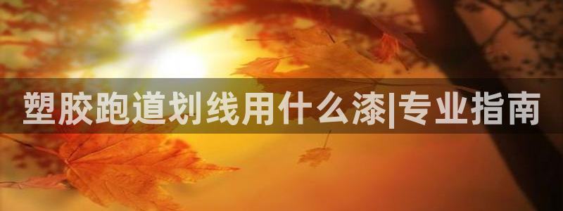 333814红足1世：塑胶跑道划线用什么漆|专业指南