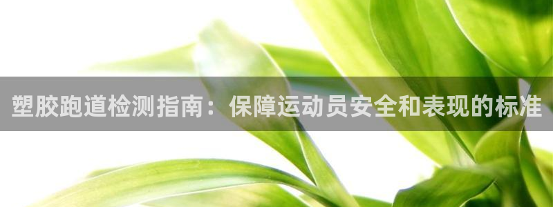 红足一1世：塑胶跑道检测指南：保障运动员安全和表现的标准