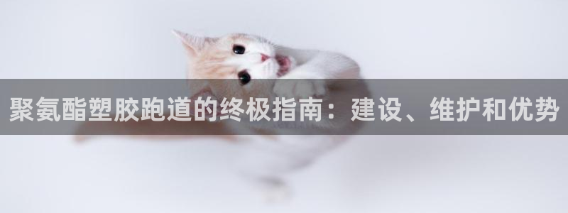 红足1世手机版下载：聚氨酯塑胶跑道的终极指南：建设、维护和优势