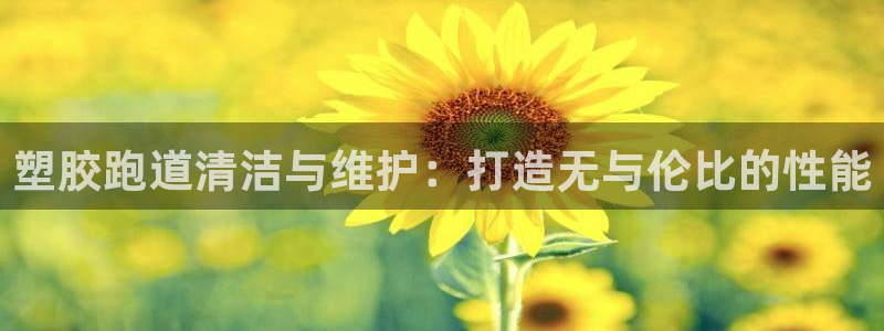 44814红足：塑胶跑道清洁与维护：打造无与伦比的性能