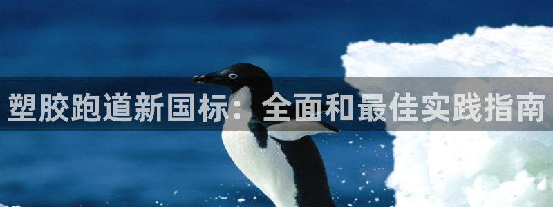 44814红足：塑胶跑道新国标：全面和最佳实践指南