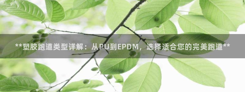 红足1世1站：**塑胶跑道类型详解：从PU到EPDM，选择适合您的完美跑道**