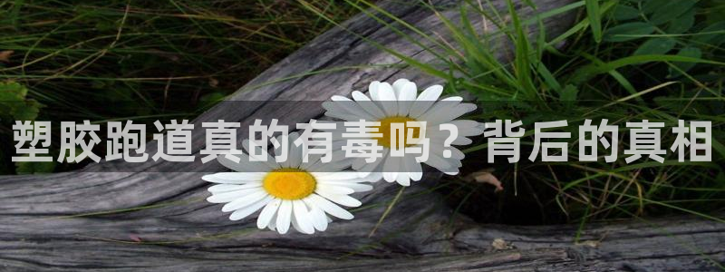 红足一1世手机皇冠