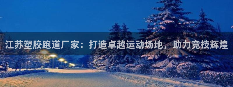 红足一：江苏塑胶跑道厂家：打造卓越运动场地，助力竞技辉煌