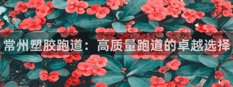 百度红足一1使用说明：常州塑胶跑道：高质量跑道的卓越选择