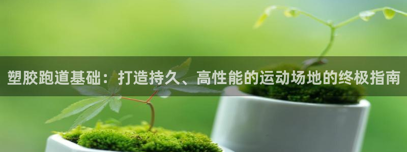 红足一1世平台：塑胶跑道基础：打造持久、高性能的运动场地的终极指南