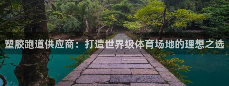 红足1一世 2站：塑胶跑道供应商：打造世界级体育场地的理想之选