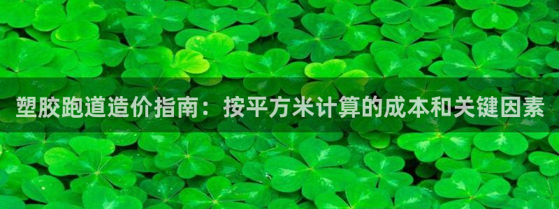红足一1世77814：塑胶跑道造价指南：按平方米计算的成本和关键因素