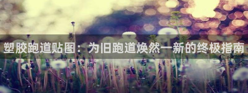 红足一1世666814足球：塑胶跑道贴图：为旧跑道焕然一新的终极指南