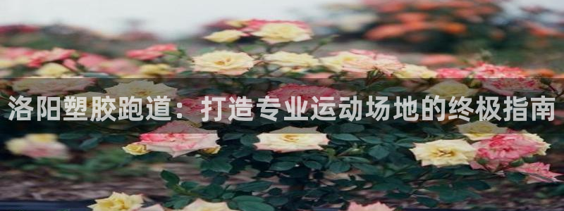 666814红·足一世比分：洛阳塑胶跑道：打造专业运动场地的终极指南
