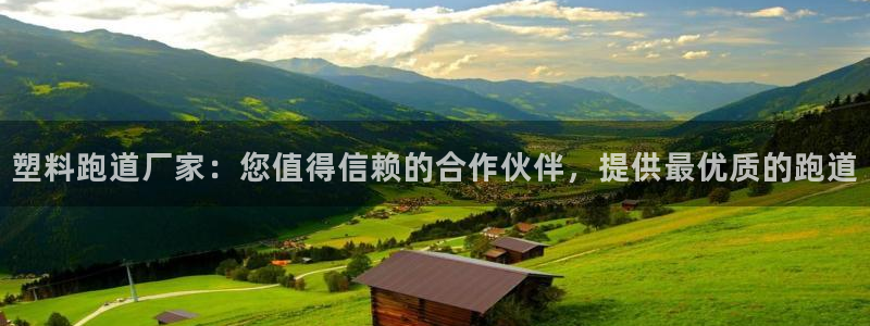 红足一球：塑料跑道厂家：您值得信赖的合作伙伴，提供最优质的跑道