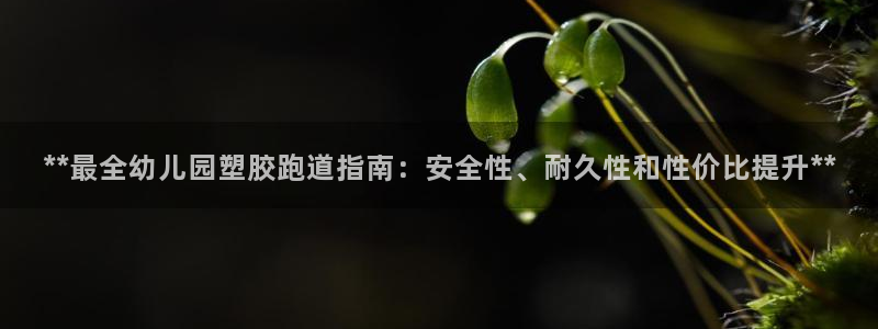 红足一1世77814：**最全幼儿园塑胶跑道指南：安全性、耐久性和性价比提升**