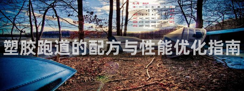 红足1世开奖预测：塑胶跑道的配方与性能优化指南